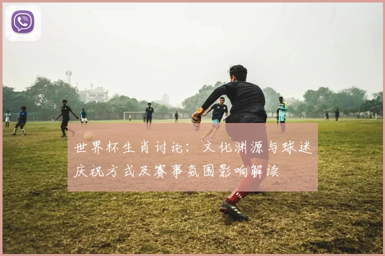 世界杯生肖讨论：文化渊源与球迷庆祝方式及赛事氛围影响解读