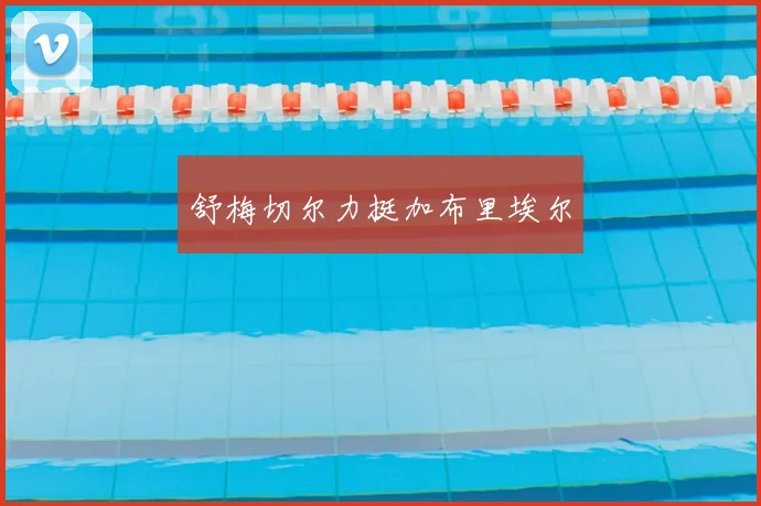 舒梅切尔力挺加布里埃尔