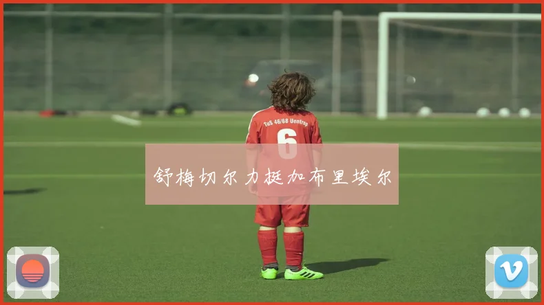 舒梅切尔力挺加布里埃尔